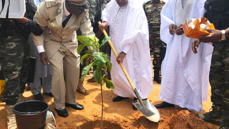Niger : Le président Issoufou lance une vaste campagne de plantations d’arbres