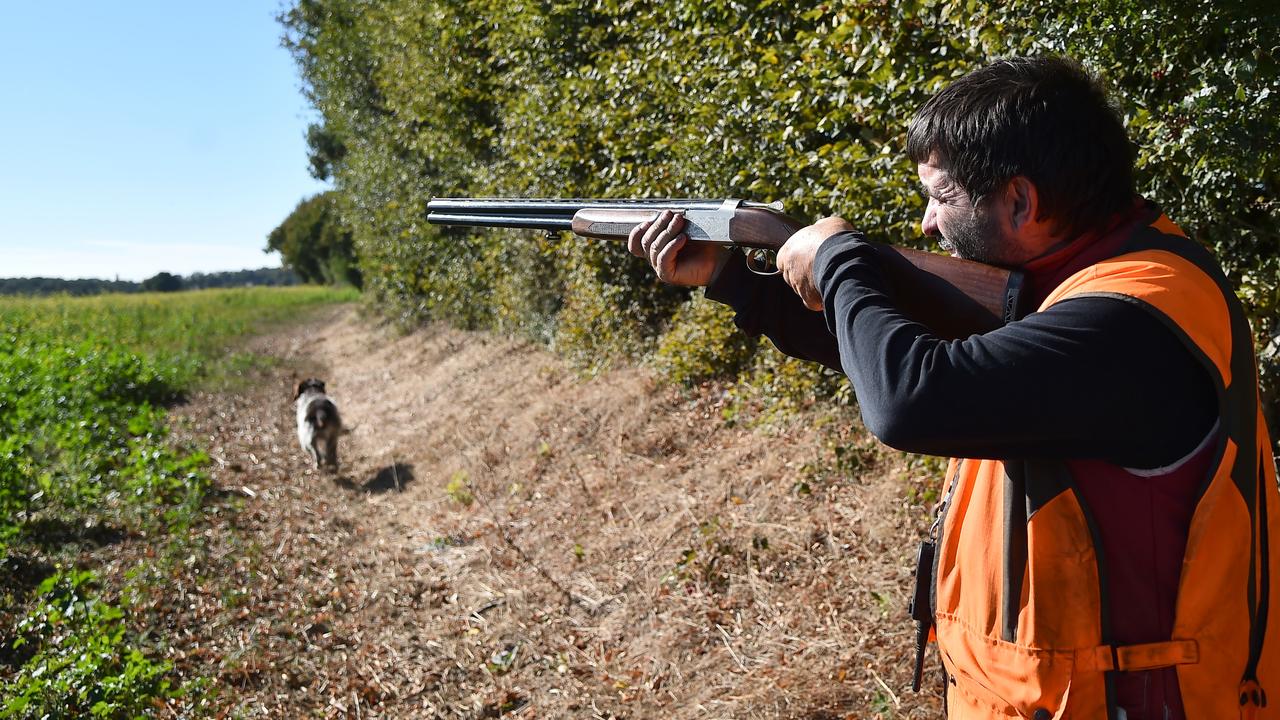 Réouverture de la chasse en Algérie après plus de 25 ans de suspension