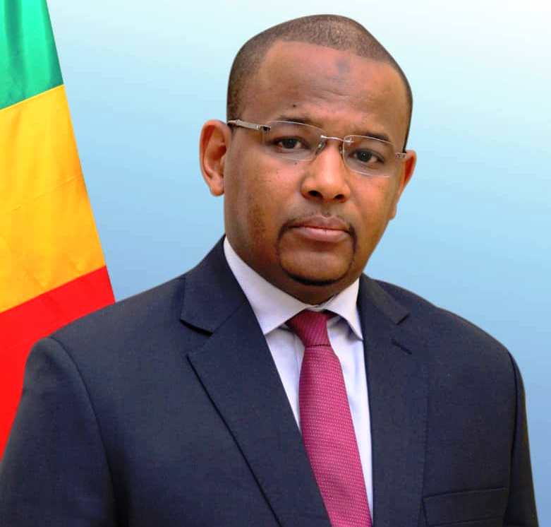 Mali : Un expert onusien réclame la libération des personnalités emprisonnées par la junte après le putsch