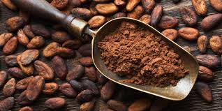Cameroun : inauguration de deux centres d’excellence de traitement post-récolte de cacao