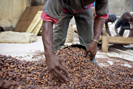 Cacao : La Côte d’Ivoire et le Ghana s’en prennent aux multinationales Hershey’s et Mars