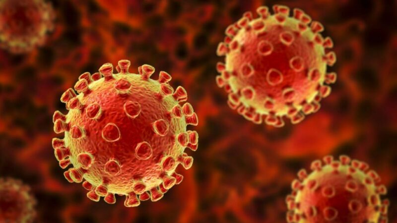 L’OMS explique l’augmentation des cas du covid-19 par les nouveaux variants du virus