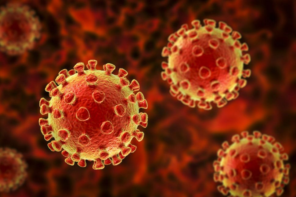 L’OMS explique l’augmentation des cas du covid-19 par les nouveaux variants du virus
