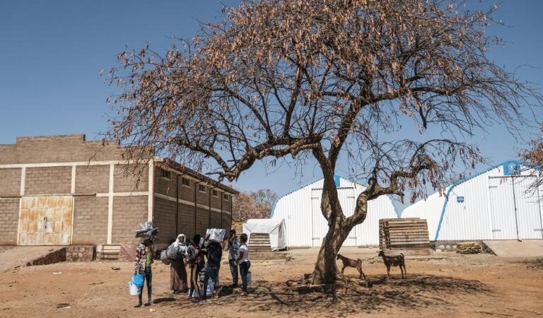 Le gouvernement éthiopien nie toute action d’épuration ethnique au Tigré