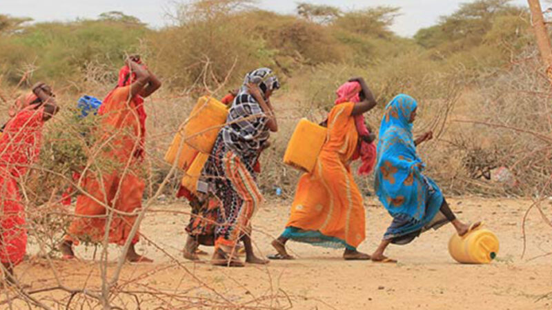 La Somalie s’expose à un risque d’insécurité alimentaire en pleine crise de Covid-19