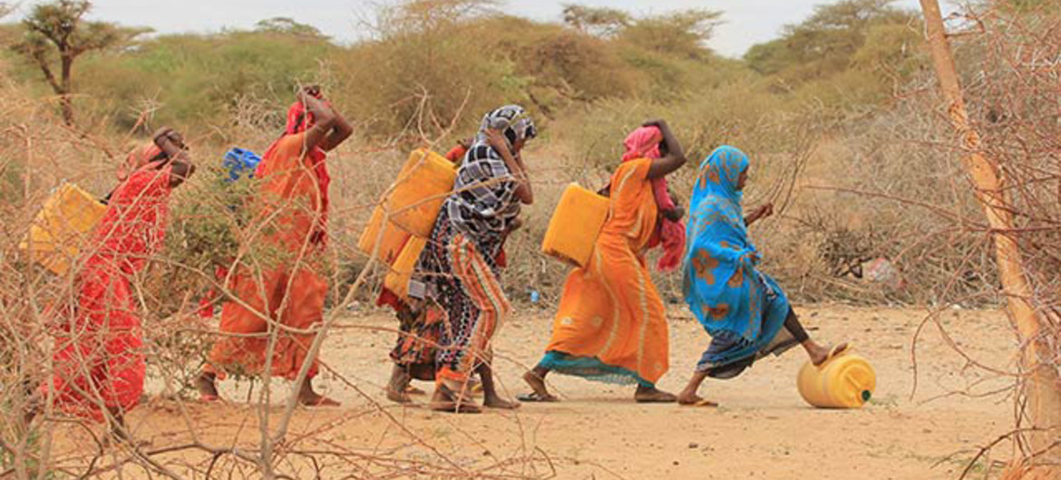 La Somalie s’expose à un risque d’insécurité alimentaire en pleine crise de Covid-19