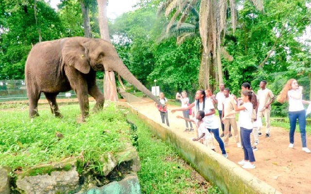 La Côte d’Ivoire injecte 500 millions de francs CFA dans le Zoo d’Abidjan