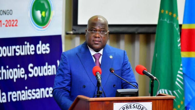 La réunion tripartite sur le GERD  à Kinshasa s’achève sans accord