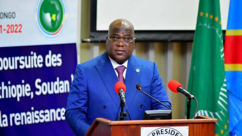 La réunion tripartite sur le GERD  à Kinshasa s’achève sans accord