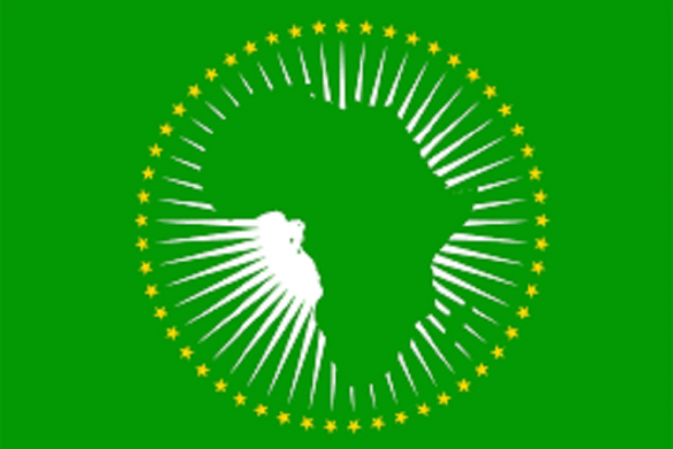 UA : 10e anniversaire de l’Infrastructure panafricaine de qualité