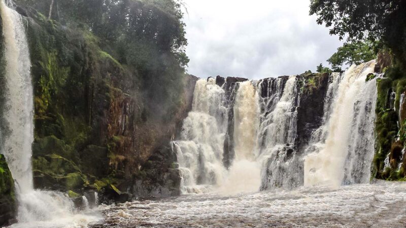 Le parc d’Ivindo du Gabon classé Patrimoine mondial par l’Unesco