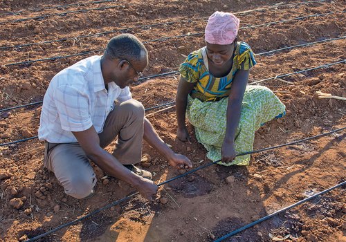 Kenya : Construction de deux barrages d’irrigation