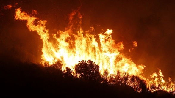 Incendies en Kabylie: le Roi du Maroc propose son aide à l’Algérie