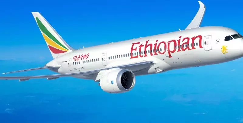 Ethiopian Airlines assure que les armes saisies au Soudan  sont «légales»