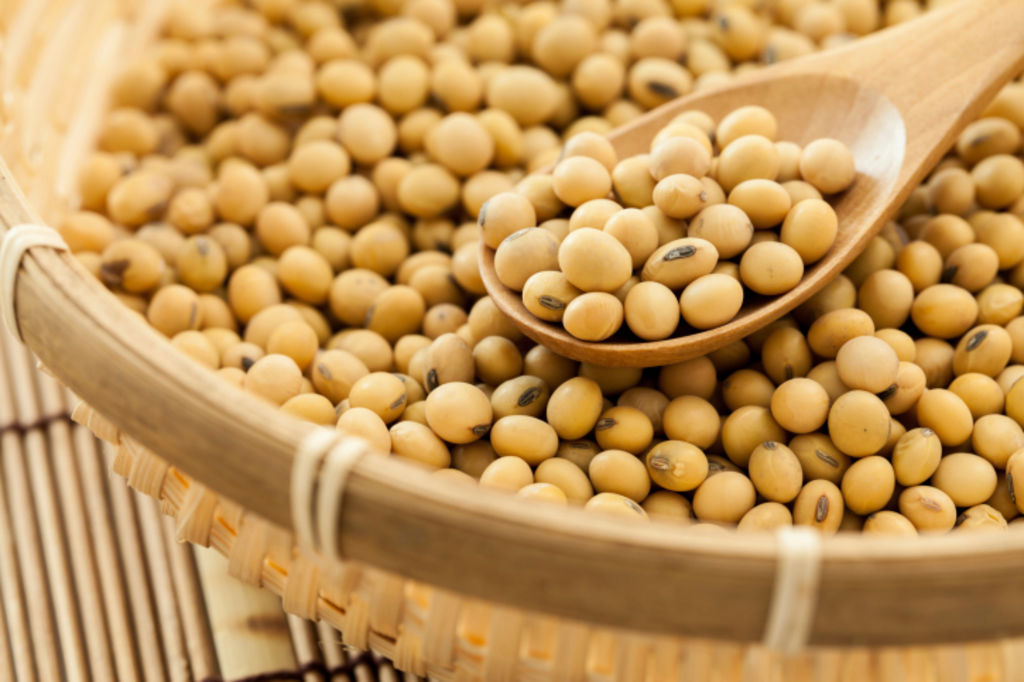 Cameroun : 250 000 tonnes de graines de soja vont être commercialisées