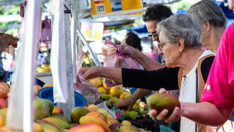 La FAO s’inquiète pour la hausse de 20% des importations alimentaires dans les PVD par rapport à 2020