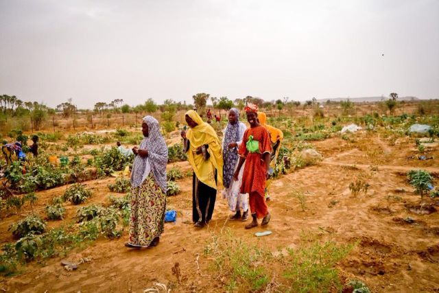 L’ONU et ses partenaires humanitaires lancent le Plan de réponse humanitaire 2022 pour le Mali