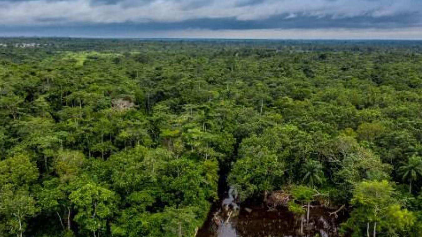 Ouverture d’une enquête sur la mort d’un Français dans une attaque terroriste au Nord du Bénin