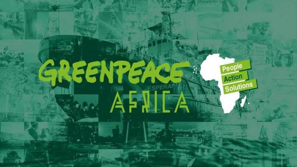 Cameroun : Greenpeace Afrique s’oppose aux exonérations fiscales accordées au projet Camvert