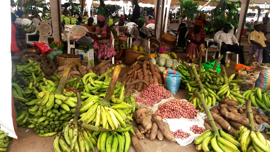 Le Cameroun compte plus de 2,8 millions de personnes en insécurité alimentaire, alerte la FAO