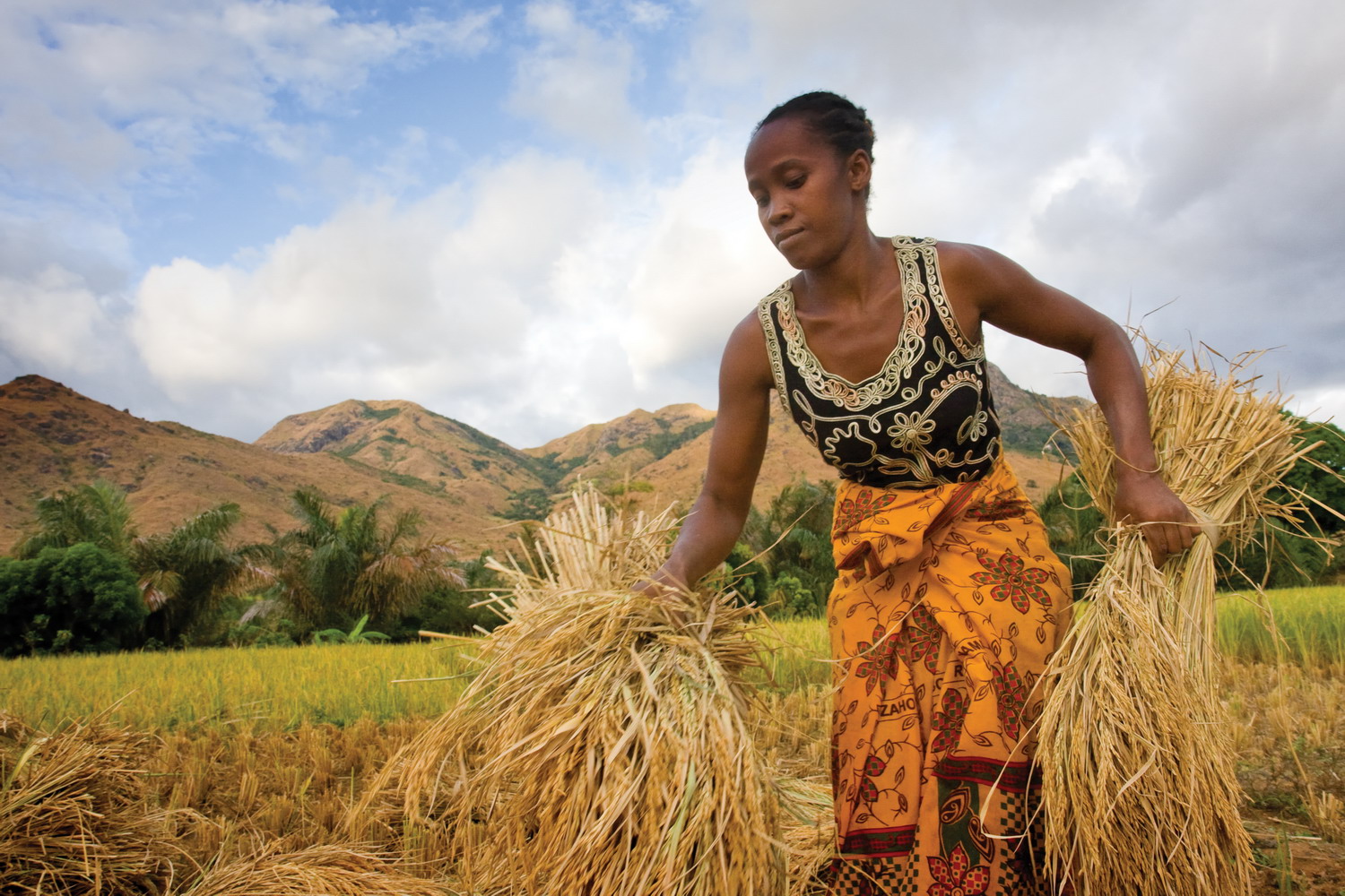 L’autosuffisance alimentaire à Madagascar, au cœur d’une conférence nationale