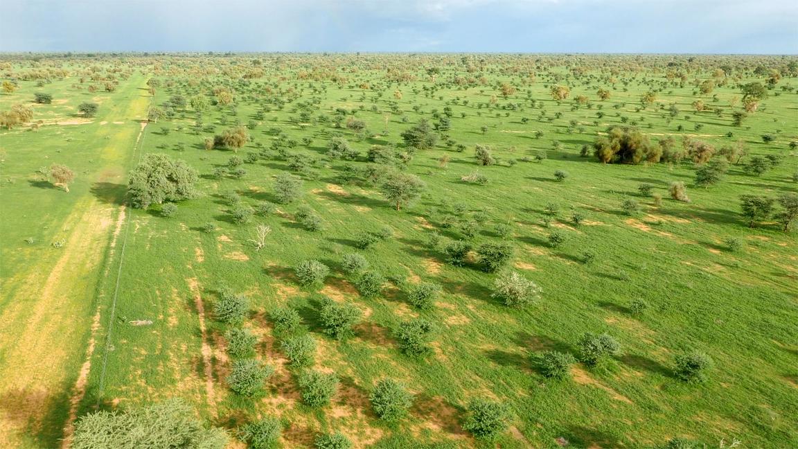 La Fondation marocaine OCP octroie 2 millions d’euros à un programme de préservation de la biodiversité au Sénégal