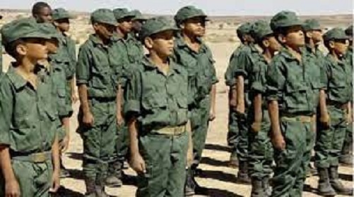 Visioconférence du CIDH-Africa à Genève sur le cas des enfants-soldats