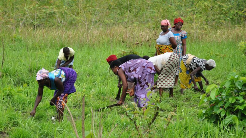 Lancement d’un grand projet agro-industriel dans le nord de la Côte d’Ivoire