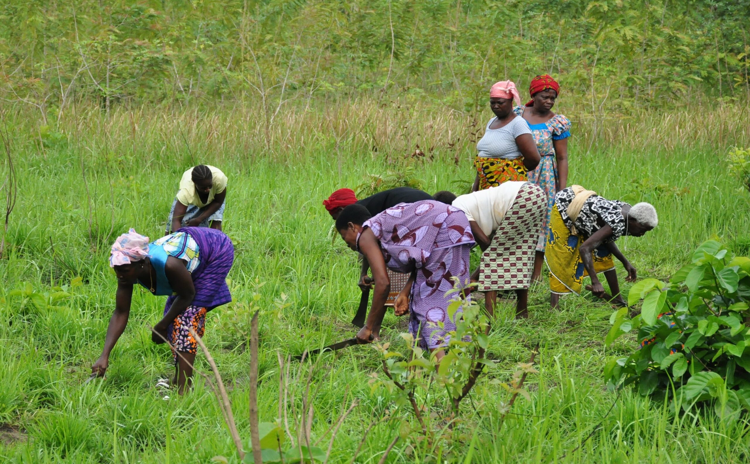 Lancement d’un grand projet agro-industriel dans le nord de la Côte d’Ivoire