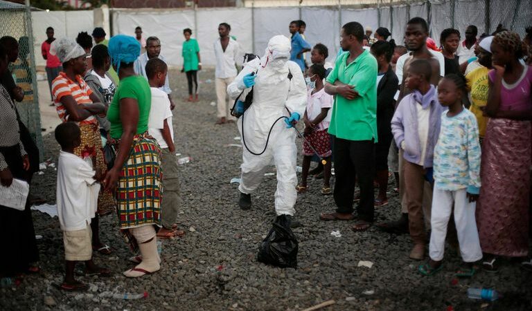 Détection au Ghana des premiers cas du virulent virus de Marburg