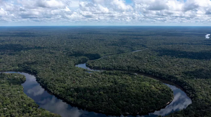 La déforestation des écosystèmes au Brésil en hausse de 20% en 2021