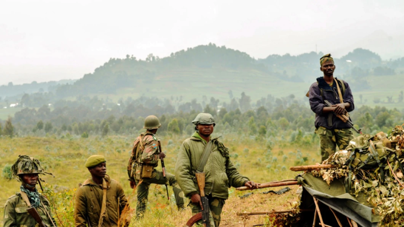 La RDC menace de militariser ses parcs naturels