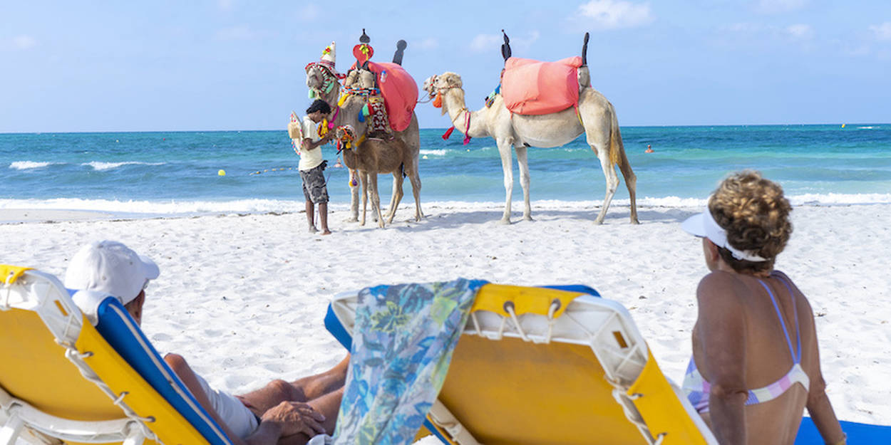 Plus de 2,6 millions de touristes ont visité la Tunisie en sept mois environ