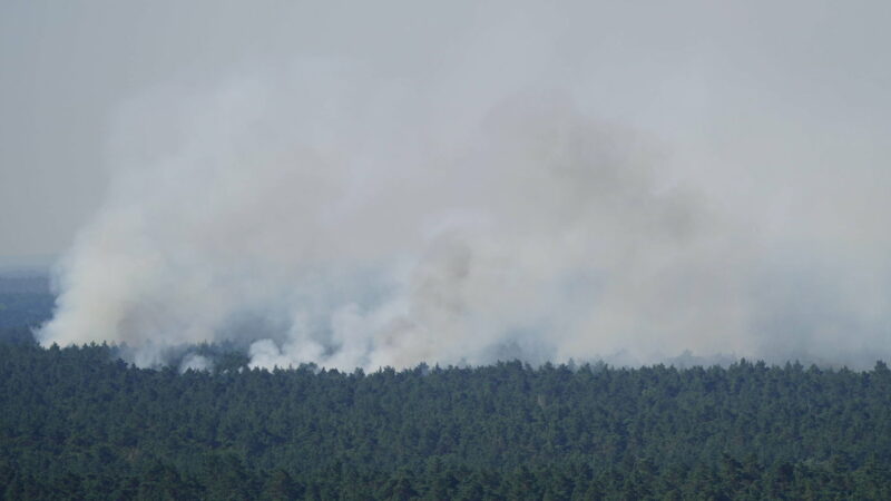 Allemagne : Incendie de forêt à Berlin à la suite d’une explosion dans un dépôt à munitions