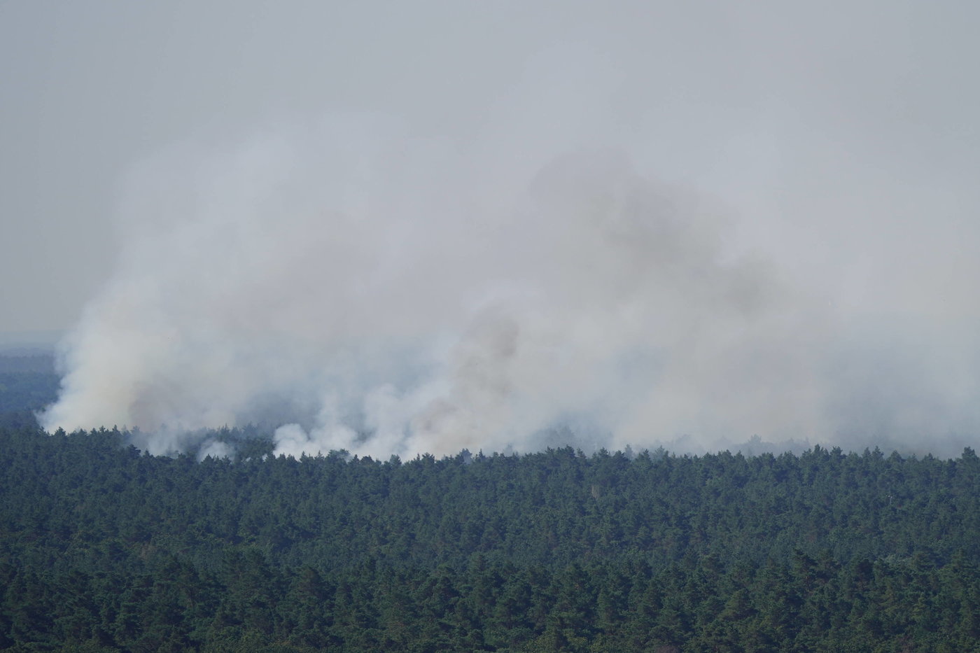 Allemagne : Incendie de forêt à Berlin à la suite d’une explosion dans un dépôt à munitions