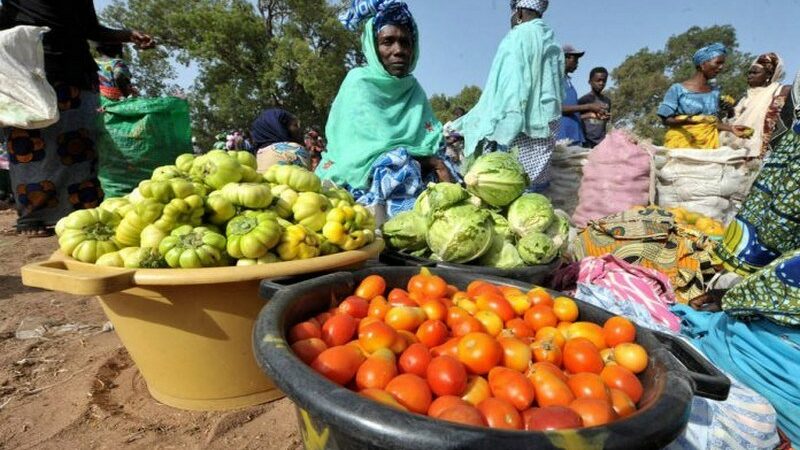 La BAD octroie un prêt de 79,3 milliards de FCFA au Sénégal pour son programme de production alimentaire d’urgence