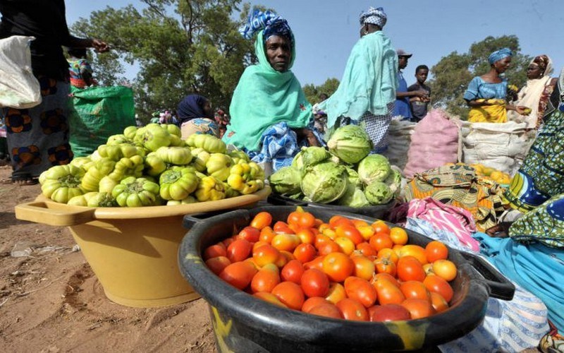 La BAD octroie un prêt de 79,3 milliards de FCFA au Sénégal pour son programme de production alimentaire d’urgence