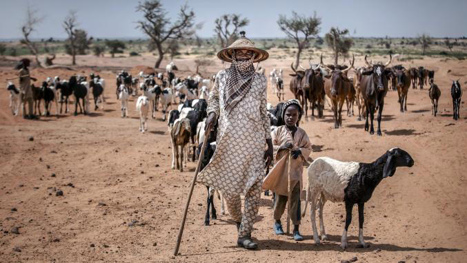 Niger: La pluie fait 75 morts et plus de 100.000 sinistrés depuis juin