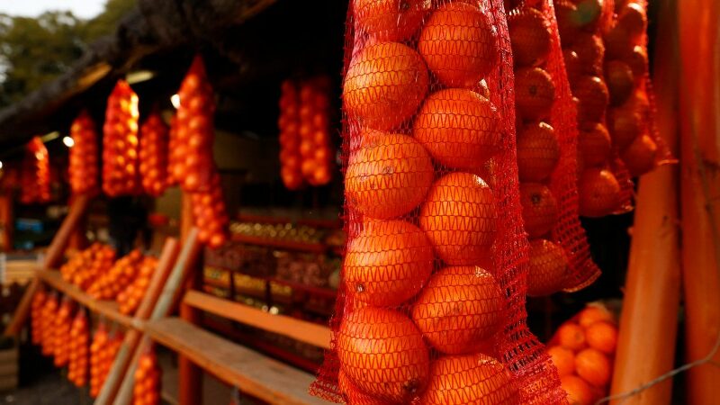 D’importantes quantités d’oranges pourrissent dans les ports européens à cause d’un conflit commercial