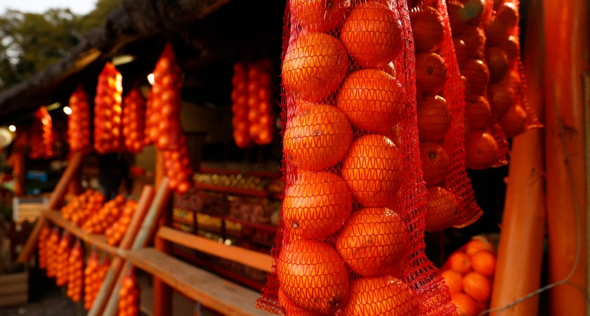 D’importantes quantités d’oranges pourrissent dans les ports européens à cause d’un conflit commercial