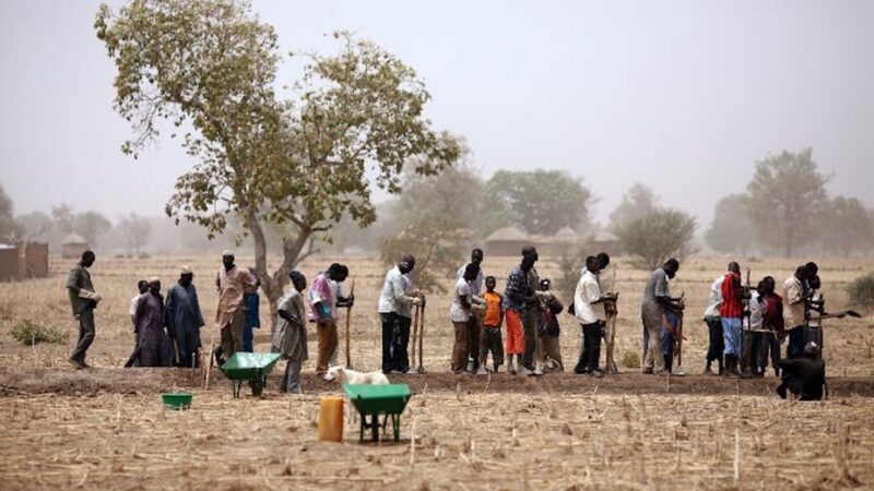 Le Royaume-Uni compte débourser 46 millions de dollars pour la sécurité alimentaire au Sahel