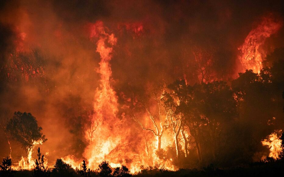 L’Algérie déplore 26 morts dans des feux de forêt dans le nord-est