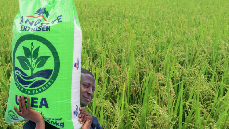 La Zambie fait appel au milliardaire nigérian Aliko Dangote pour l’installation d’une usine d’engrais