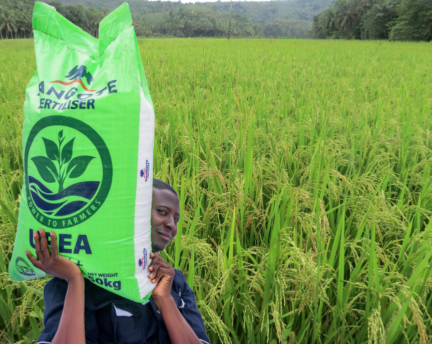 La Zambie fait appel au milliardaire nigérian Aliko Dangote pour l’installation d’une usine d’engrais