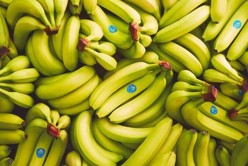 Le Cameroun se félicite de la hausse des exportations de bananes de l’ordre de 24,4% au cours des huit premiers mois