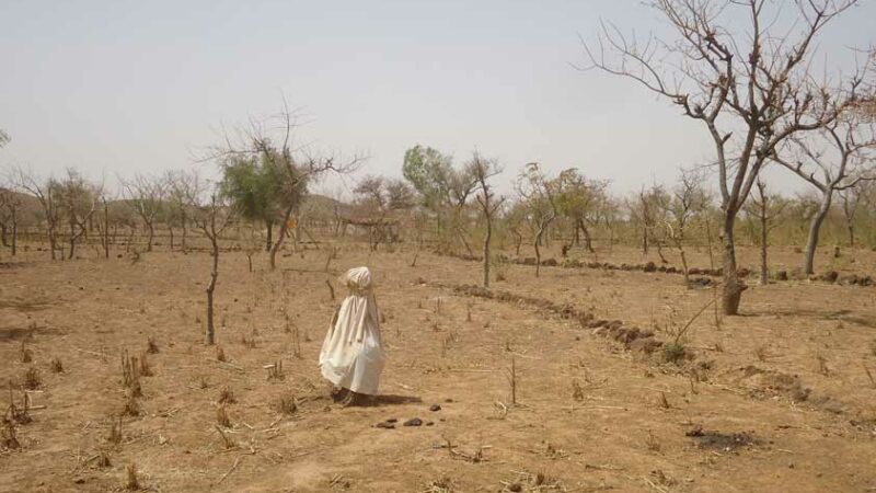 Sénégal: Les ministres africains de l’Environnement échangent sur le climat mondial