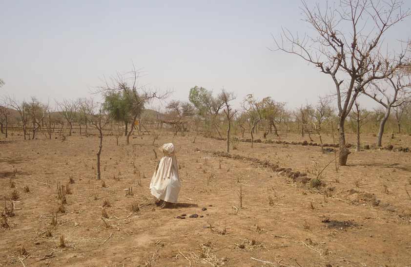 Sénégal: Les ministres africains de l’Environnement échangent sur le climat mondial