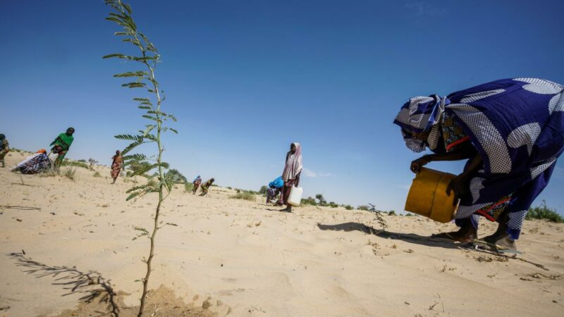 La FAO lance ce mardi au Togo, un projet de résilience climatique