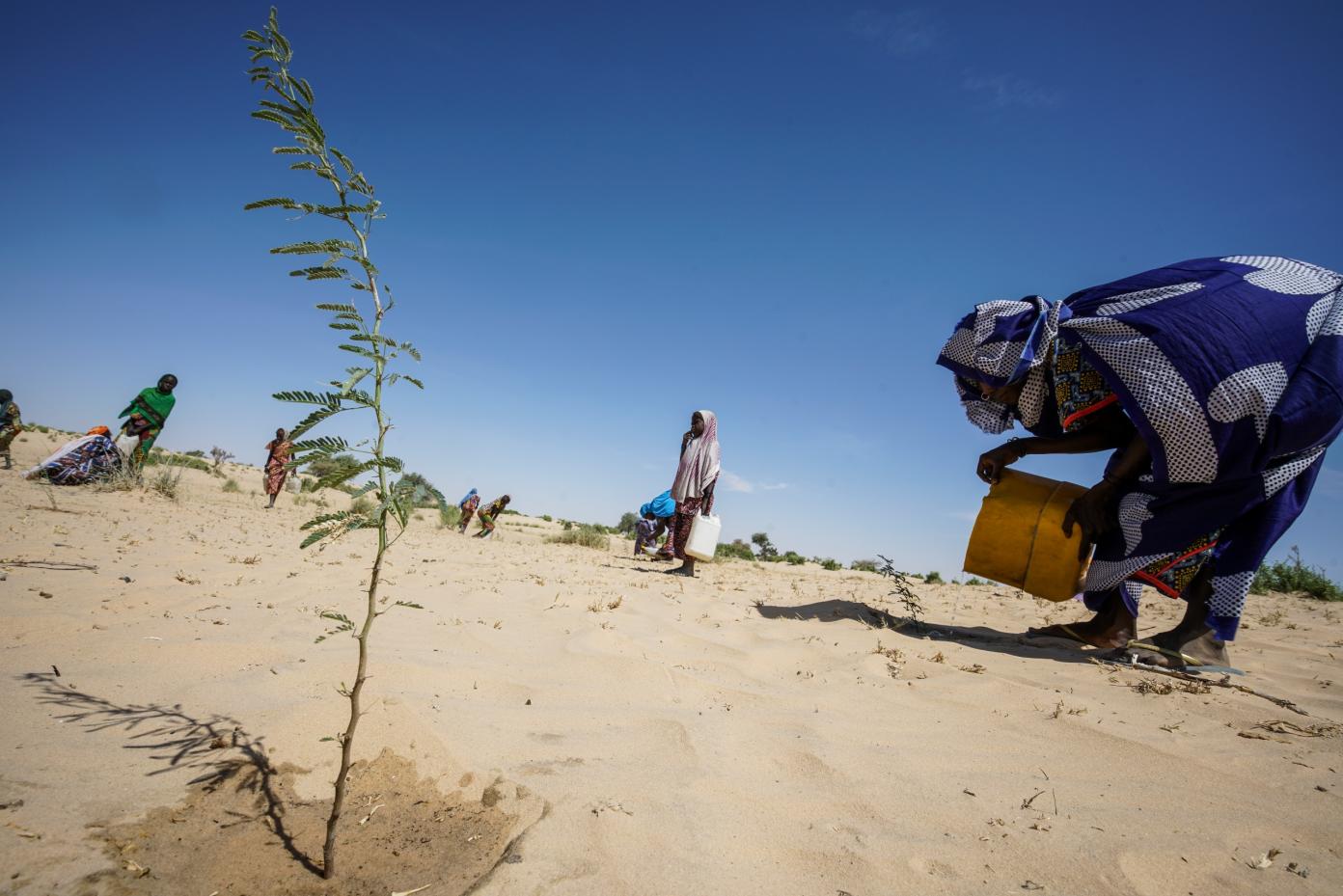 La FAO lance ce mardi au Togo, un projet de résilience climatique