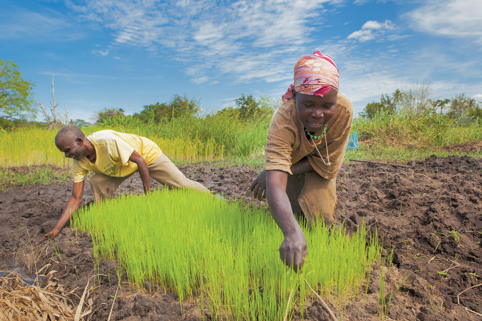Tanzanie: Plus de 1000 hectares de terres agricoles seront irrigués à Dodoma